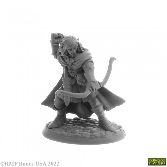 Dungeon Dwellers Lanaerel Grayleaf, Elf Ranger Elf Ranger