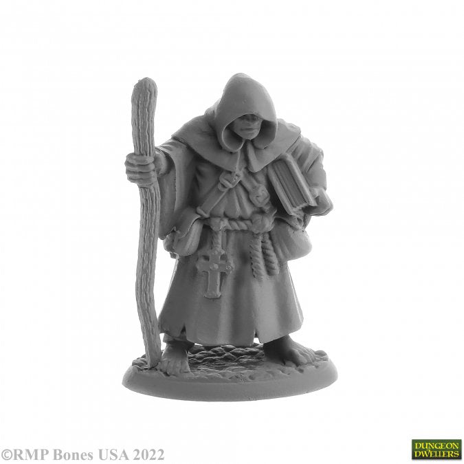 Dungeon Dwellers Brother Hammond, Traveling Monk Human Monk