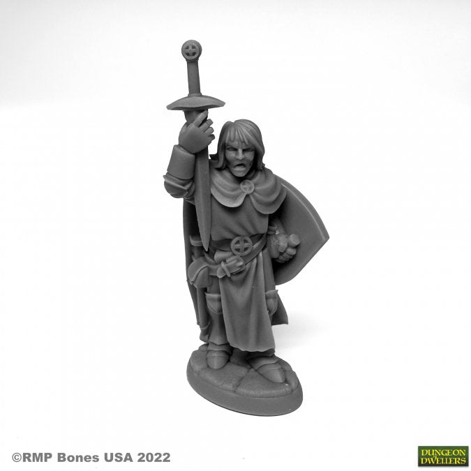 Dungeon Dwellers Sir Danarel the Holy