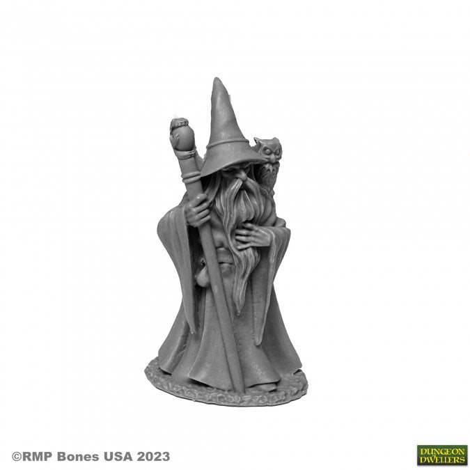 Dungeon Dwellers Anuminar Winterbeard, Wizard