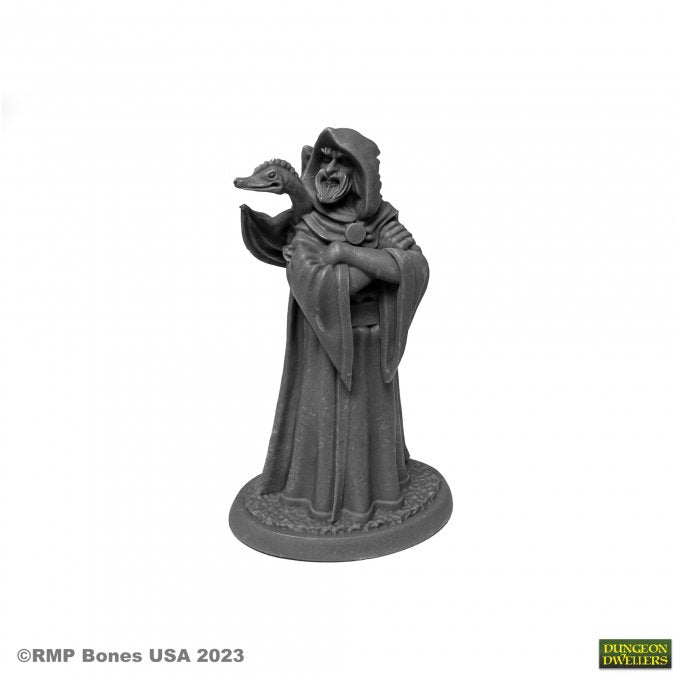 Dungeon Dwellers Bones: Zenfis Zadar Wizard