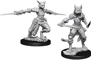 Nolzur's Marvelous Unpainted Miniatures - Female Tabaxi Rogue
