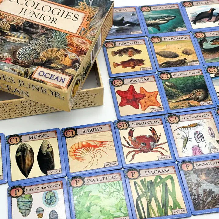 Ecologies Junior Ocean