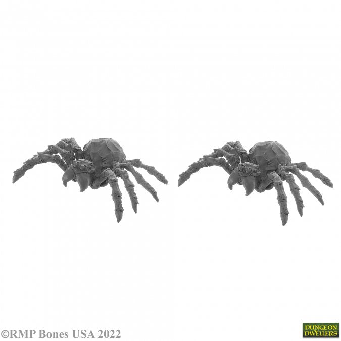 Dungeon Dwellers Bones: Giant Spider (2)