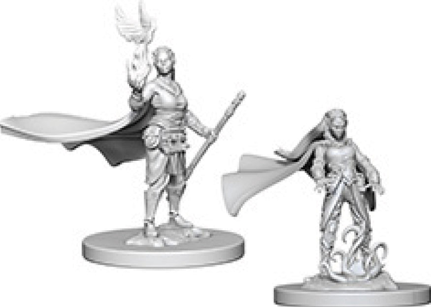Nolzur's Marvelous Unpainted Miniatures - Elf Female Druid