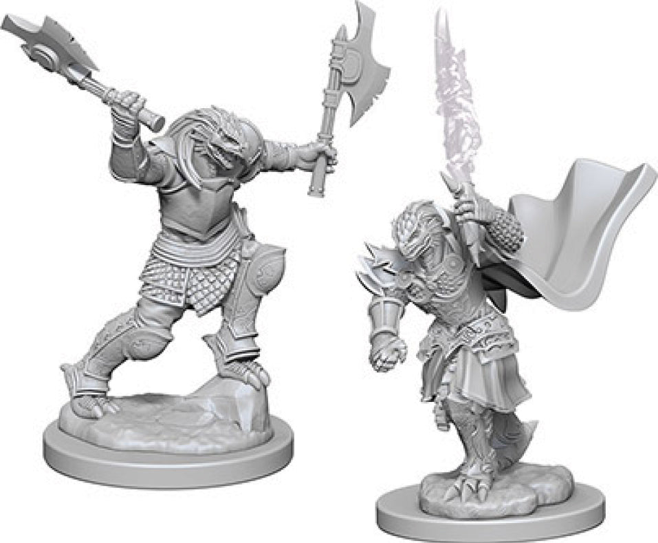 Nolzur's Marvelous Unpainted Miniatures - Dragonborn Female Fighter