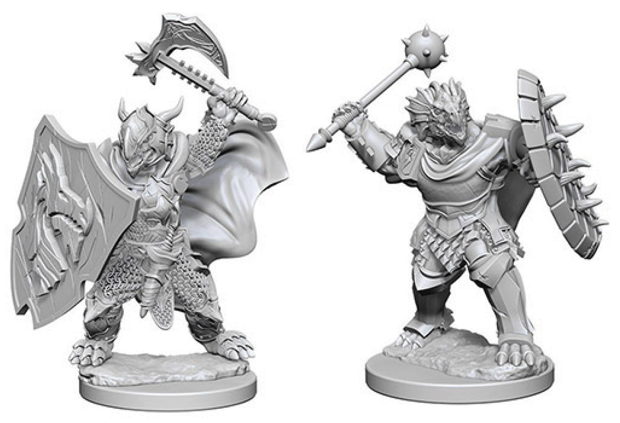 Nolzur's Marvelous Unpainted Miniatures - Dragonborn Male Paladin