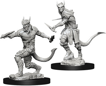 Nolzur's Marvelous Unpainted Miniatures - Tiefling Male Rogue