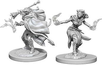 Nolzur's Marvelous Unpainted Miniatures - Female Tiefling Warlock