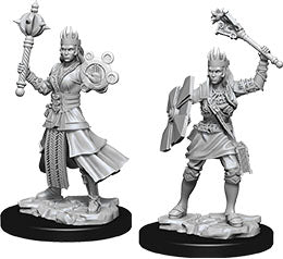 Nolzur's Marvelous Unpainted Miniatures - Female Human Cleric