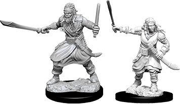 Nolzur's Marvelous Unpainted Miniatures - Bandits