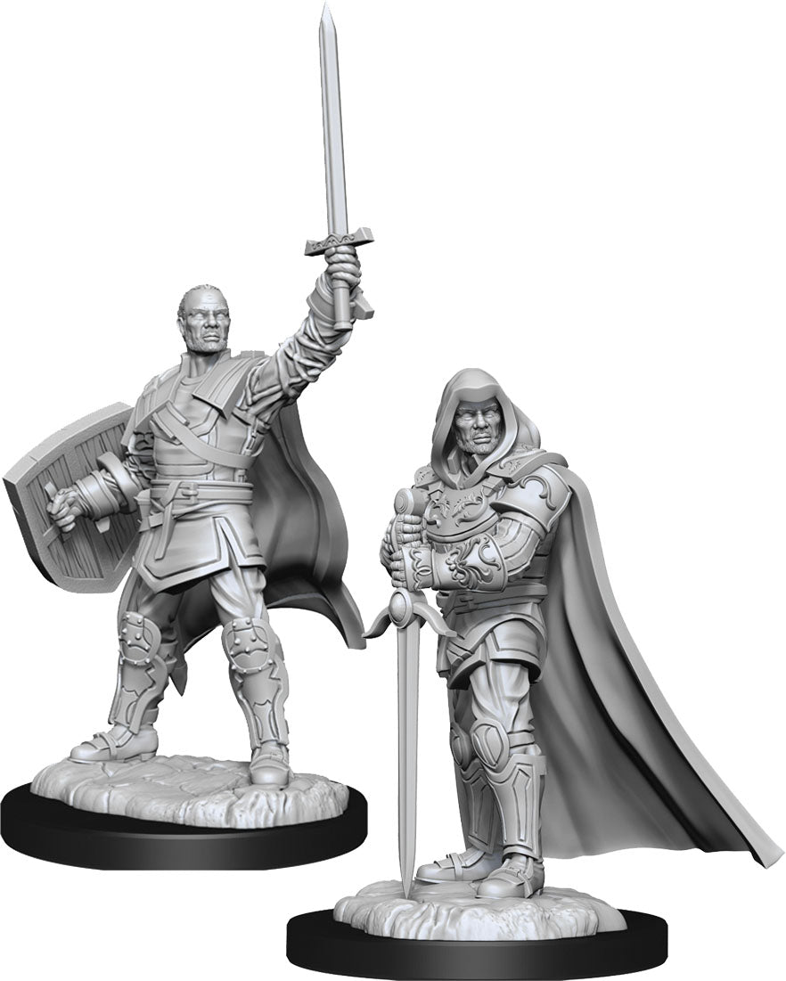 Nolzur's Marvelous Unpainted Miniatures - Human Paladin Male