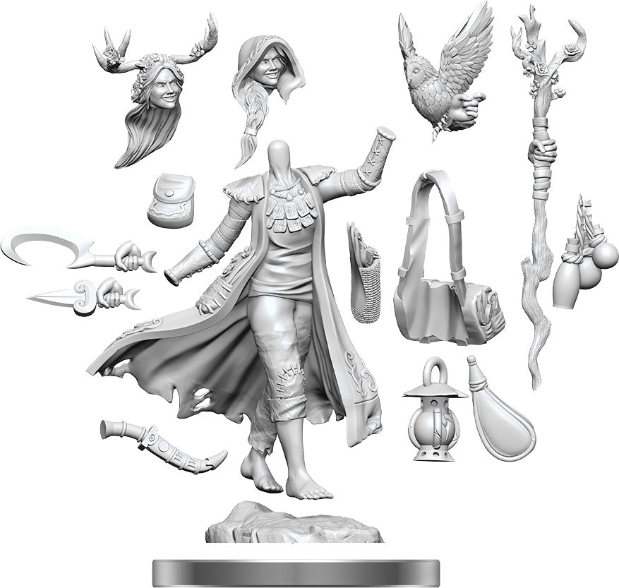 Frameworks Figures: Human Druid Female
