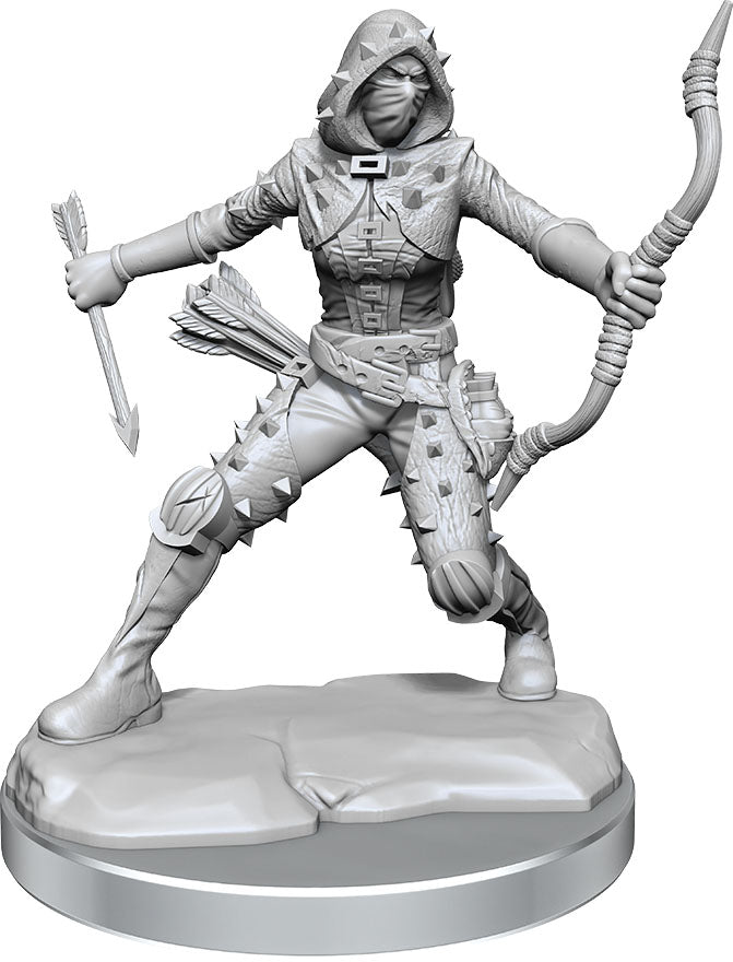 Frameworks Figures: Human Rogue Female