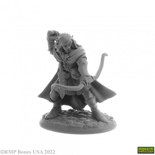 Dungeon Dwellers Lanaerel Grayleaf, Elf Ranger Elf Ranger