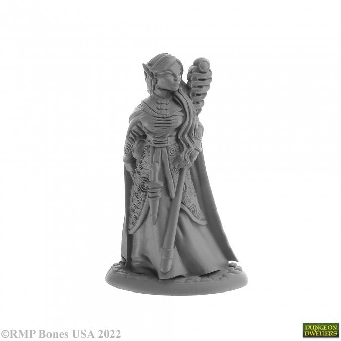 Dungeon Dwellers Anthanelle, Elf Wizard