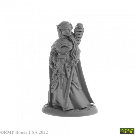 Dungeon Dwellers Anthanelle, Elf Wizard