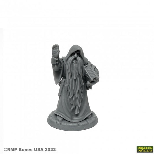 Dungeon Dwellers Belevos, Traveling Wizard