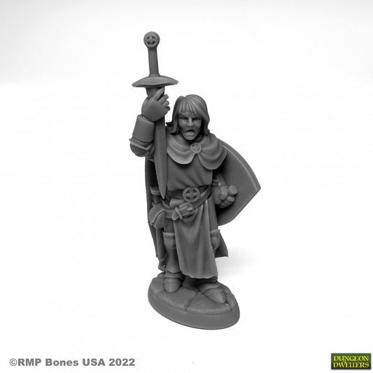 Dungeon Dwellers Sir Danarel the Holy