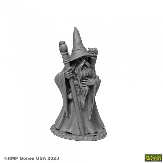 Dungeon Dwellers Anuminar Winterbeard, Wizard