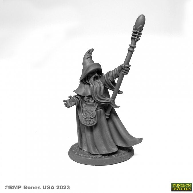 Dungeon Dwellers Bones: Arakus Landarzad Wizard