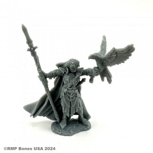 Dungeon Dwellers Wood Elf King