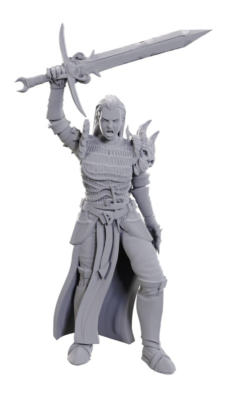 Dungeons & Dragons Nolzur's Marvelous Unpainted Miniatures: W25 Blackguard