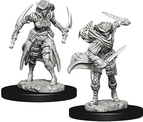 Nolzur's Marvelous Unpainted Miniatures - W07 Tiefling Female Rogue