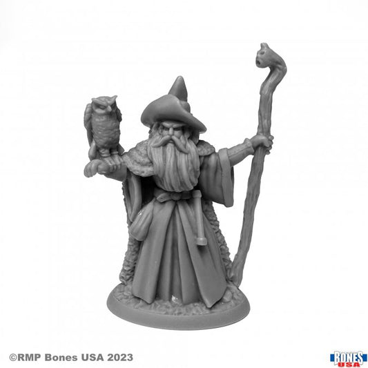 Reaper Legends Amathor the Arch-Mage Human Wizard