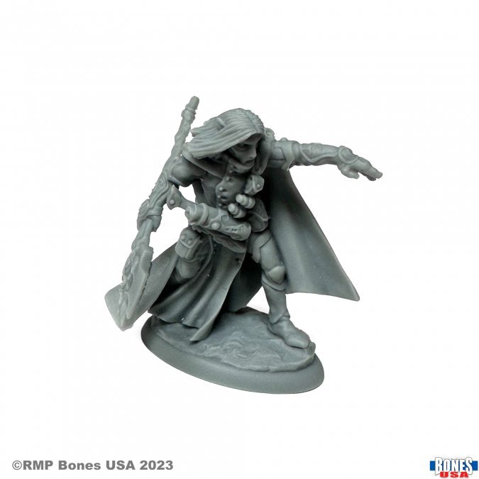 Reaper Legends Elquin the Daring Elf Hero