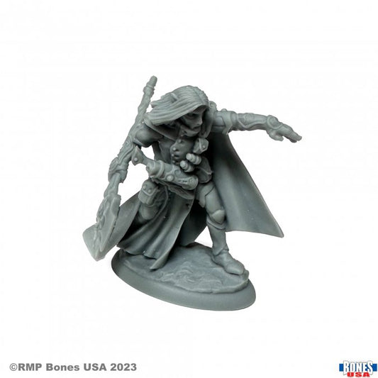 Reaper Legends Elquin the Daring Elf Hero