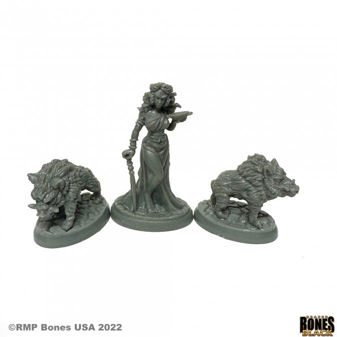 Reaper Bones Black Circe and Pigs