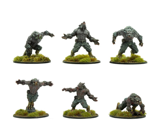 Konflikt '47: Schreckwulfen Squad