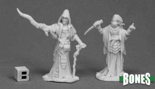 Reaper Dark Heaven Bones Cultist Priests (2)