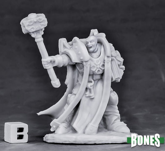 Reaper Dark Heaven Bones Crusader Ardent (Hammer) Human Cleric