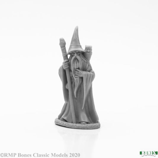 Reaper Dark Heaven Bones Anuminar Winterbeard, Human Wizard