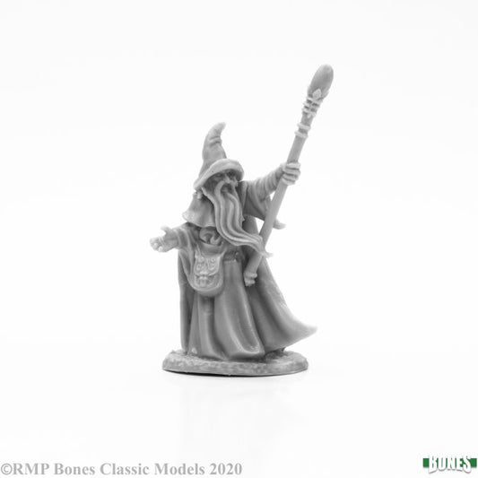 Reaper Dark Heaven Bones Arakus Landarzad, Human Wizard