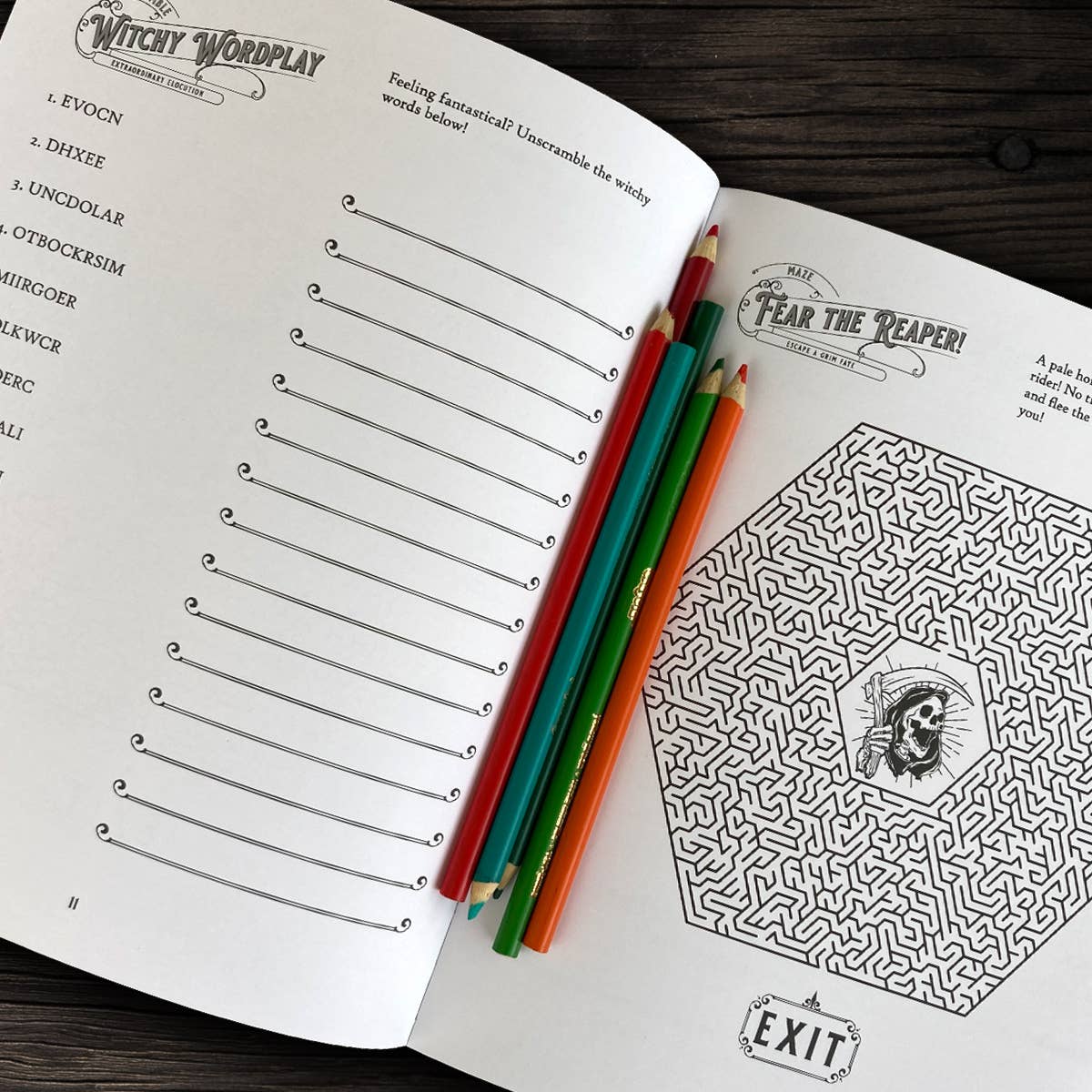 Bloodthirsty and Bewitched Adult Activity Book