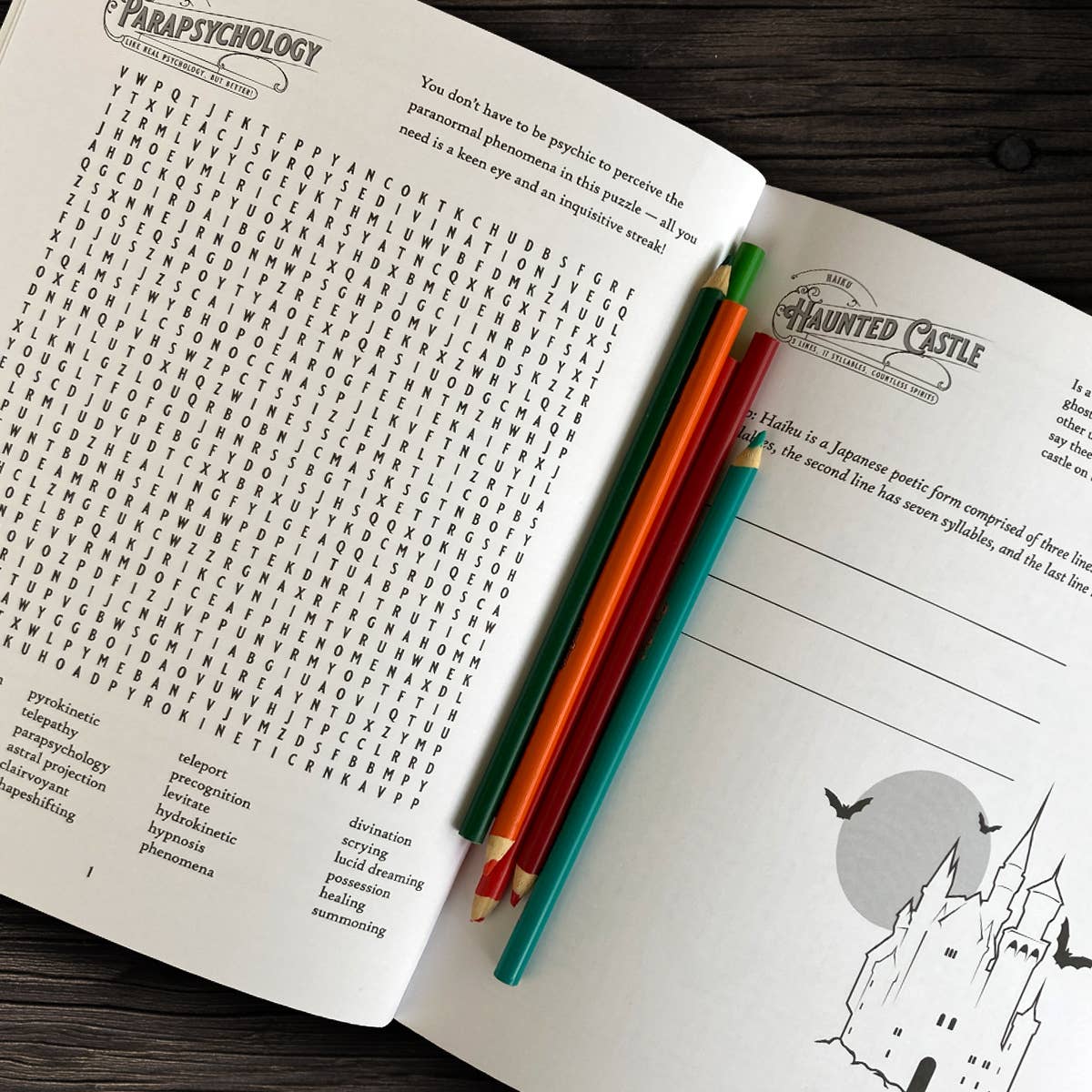 Bloodthirsty and Bewitched Adult Activity Book