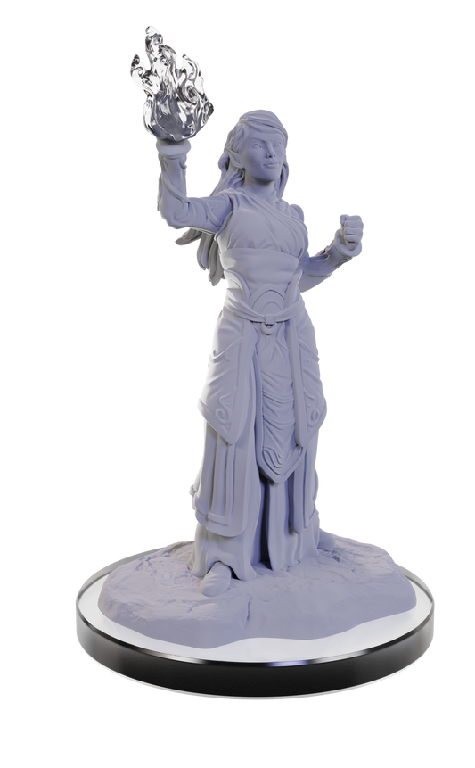 Dungeons & Dragons Nolzur's Marvelous Unpainted Miniatures: W22 Elf Wizards