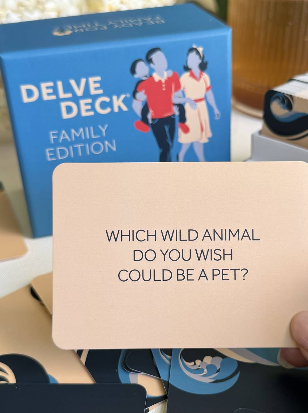 Delve Deck Conversation Cards - Family Edition