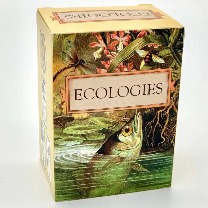 Ecologies