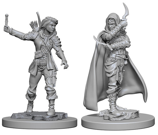 Deep Cuts Unpainted Miniatures - Human Female Rogue