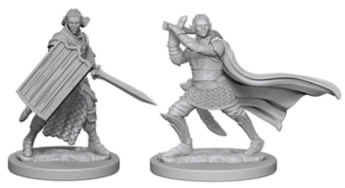 Deep Cuts Unpainted Miniatures - Elf Male Paladin