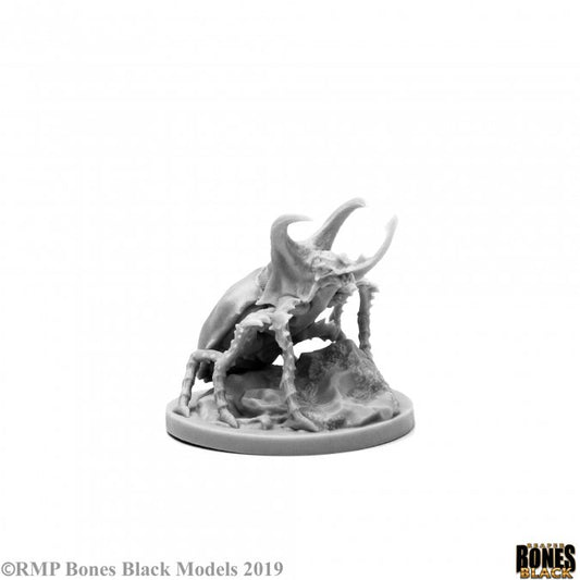 Bones Black: Giant Rhino Beetle