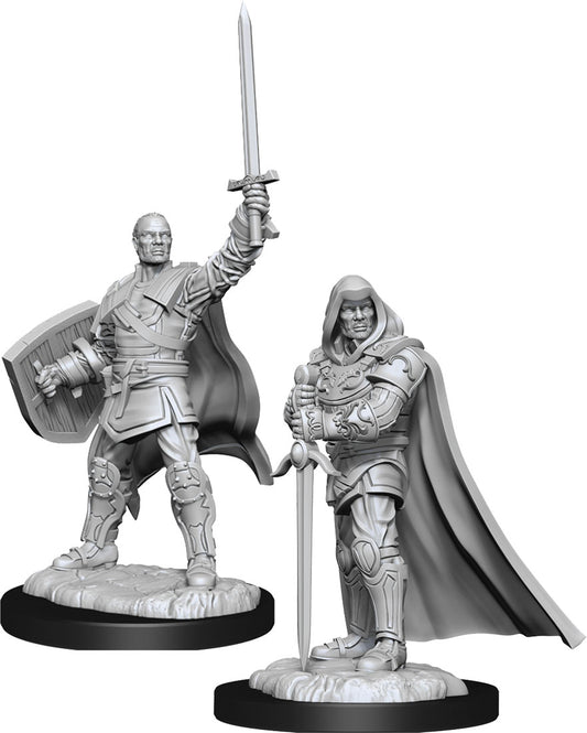 Nolzur's Marvelous Unpainted Miniatures - Human Paladin Male