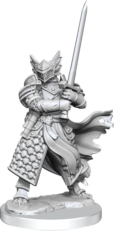 Frameworks Figures: Dragonborn Paladin Male