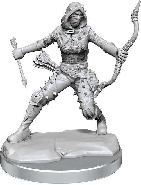 Frameworks Figures: Human Rogue Female